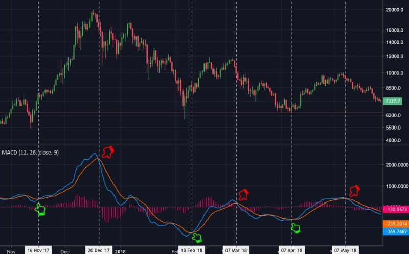chi-bao-hoi-tu-phan-ky